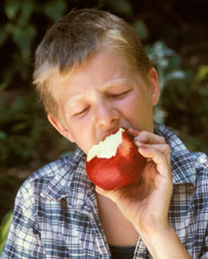 A boy eating an apple